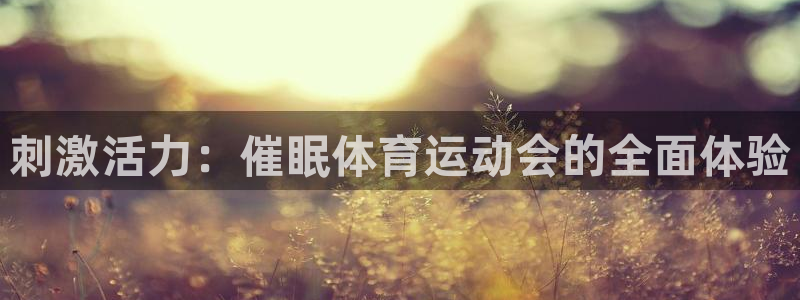 风速体育
