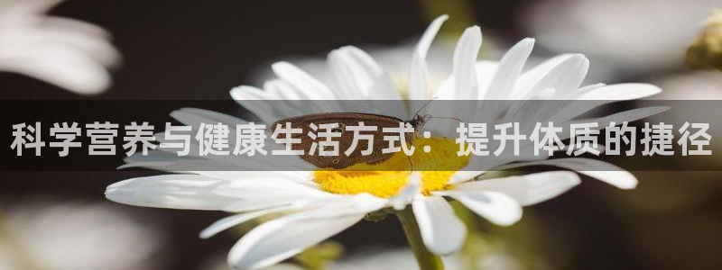 风速体育nba免费直播