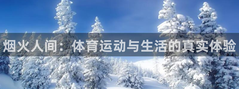 风速体育app：烟火人间：体育运动与生活的真实体验