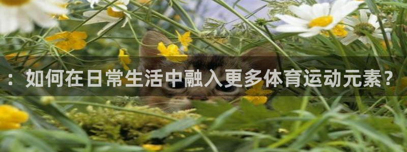 风速体育app：：如何在日常生活中融入更多体育运动元素？