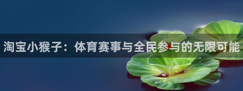 风速体育：淘宝小猴子：体育赛事与全民参与的无限可能
