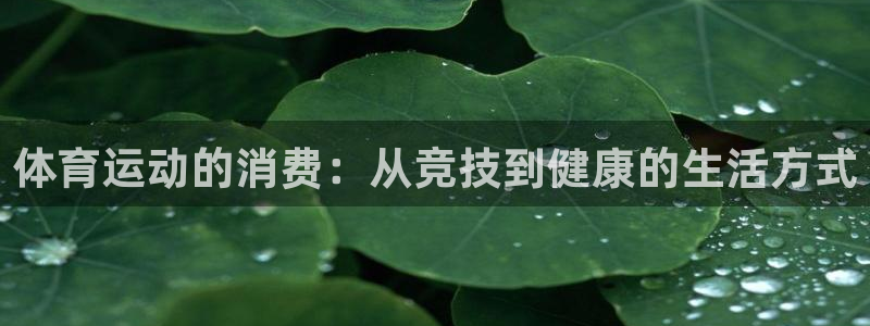风速体育cba直播：体育运动的消费：从竞技到健康的生活方式