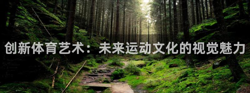 风速体育直播：创新体育艺术：未来运动文化的视觉魅力