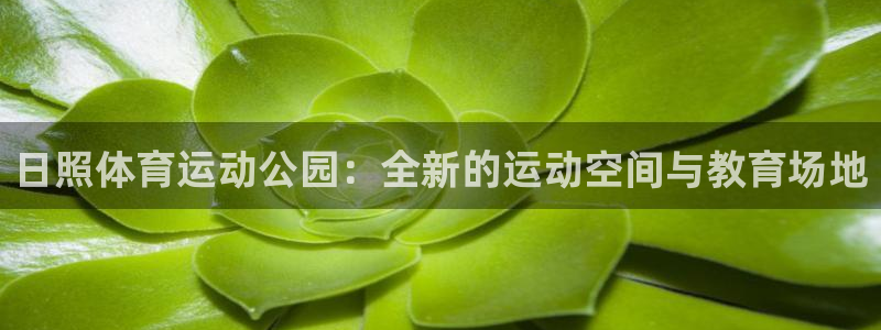 风速体育：日照体育运动公园：全新的运动空间与教育场地