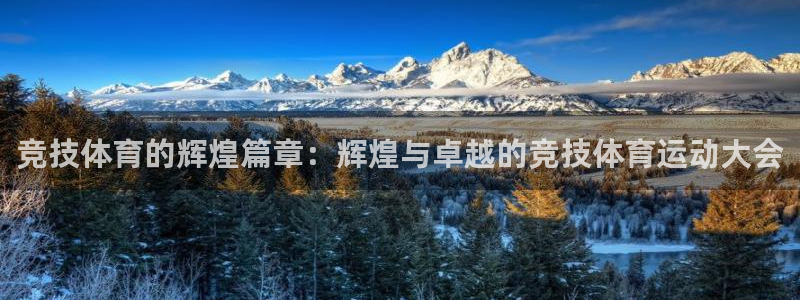 风速体育nba直播：竞技体育的辉煌篇章：辉煌与卓越的竞技体育运动大会