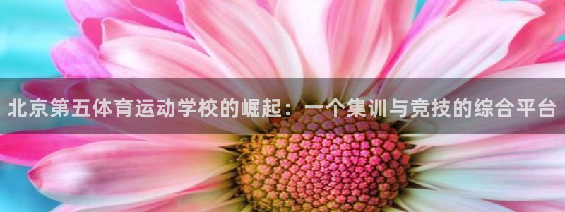 风速体育：北京第五体育运动学校的崛起：一个集训与竞技的综合平台